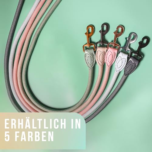 ne&no Tauleine 1.7m (leicht dehnbar) für mittelgroße bis ganz große Hunde I Trainingsleine I Hundeleine robust I Führleine rund, geflochten I Seil Leine Hund I Cityleine I Dog Leash SALBEIGRÜN, 170 cm