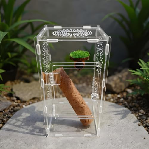 Recinto para arañas saltarinas, mantis y ranas con diseño transpirable 7