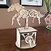 Abong 3D Wood Craft Mechanical Horse Automation Model | 221 Pieces of Precise Cuts of Plywood | Includes an Illustrated Instruction Book
