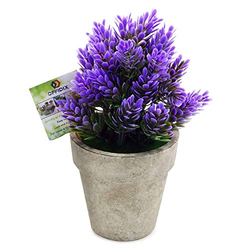 OFFIDIX Mini Artificial Lavender Flowers Potted Plant Desktop Plant Fake Plants with Gray