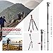 Neewer 66 inches/168 centimeters Carbon Fiber Camera Tripod Monopod with 360 Degree Ball Head, 1/4 inch Quick Shoe Plate and Bag for DSLR Camera Video Camcorder Travel and Work，Load up to 33lbs/15kg