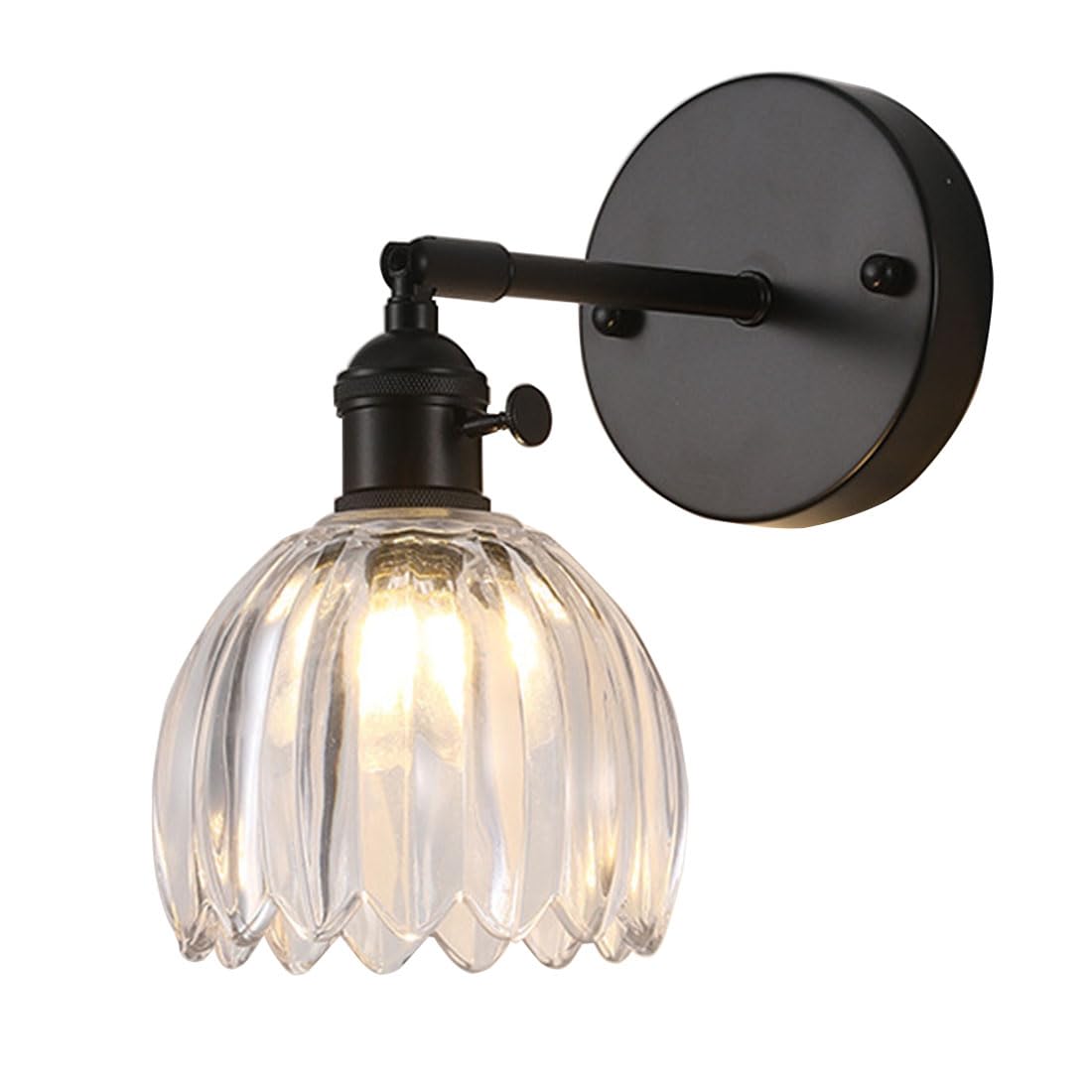 ZFPKXHVMG Indoor Wall Lamp, Industrial Wall Sconces Glass Flower Shade Multicolor Bedroom(Transparent)