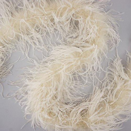 Zucker - 6 Foot 2 Ply Ostrich Feather Boa - Dress Up Party, Costume Accessories, Halloween, Carnival, Crafts, Décor, Diy - Ivory #TOP2