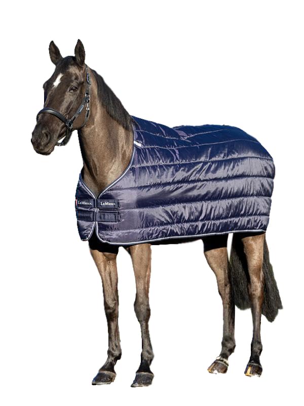 Doublure de couverture 100g LeMieux pour éviter les frottements sous le tapis de pluie