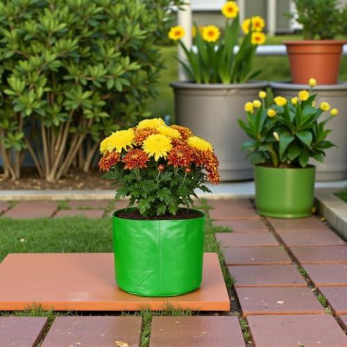 Image of HDPE UV Treated 340 GSM Plant Growing Bags for Terrace Gardening Easy to Use 15 x 09 Inch - Pack of 5