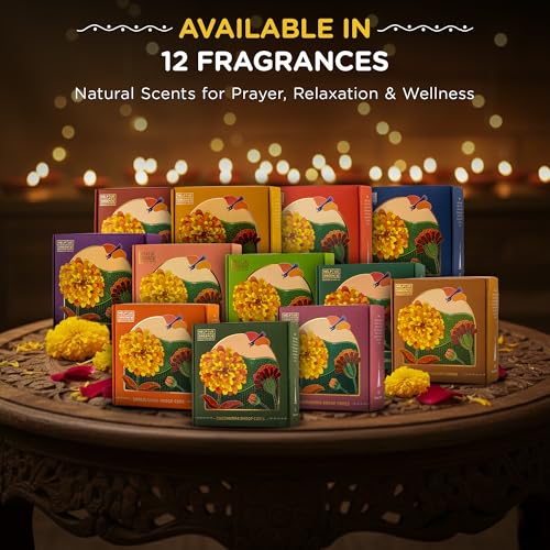 Image of Combo Pack of 2 Natural Incense Cones, Aromatherapy Pack 80 Organic Dhoop for Pooja | Eucalyptus and Khus+2 Free Ceramic Holder | Dhoopbatti |Sulphur & Charcoal Free | 100% Organic