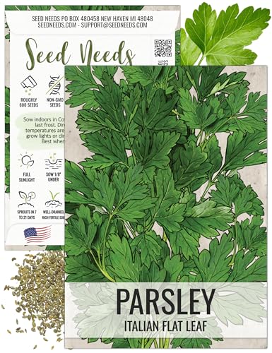 Seed Needs Italian Flat Leaf Parsley Seeds Heirloom Non-GMO Herbs 1 Pack