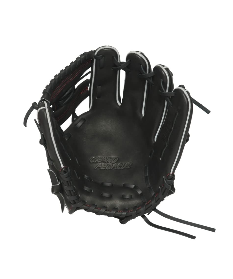 ワールドペガサス　軟式 ワールドペガサス 【ワールドペガサス】硬式・軟式兼用グランド