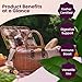 Gefen All Natural Prune Juice 32oz (2 Pack) Not from Concentrate | Kosher (Including Passover)