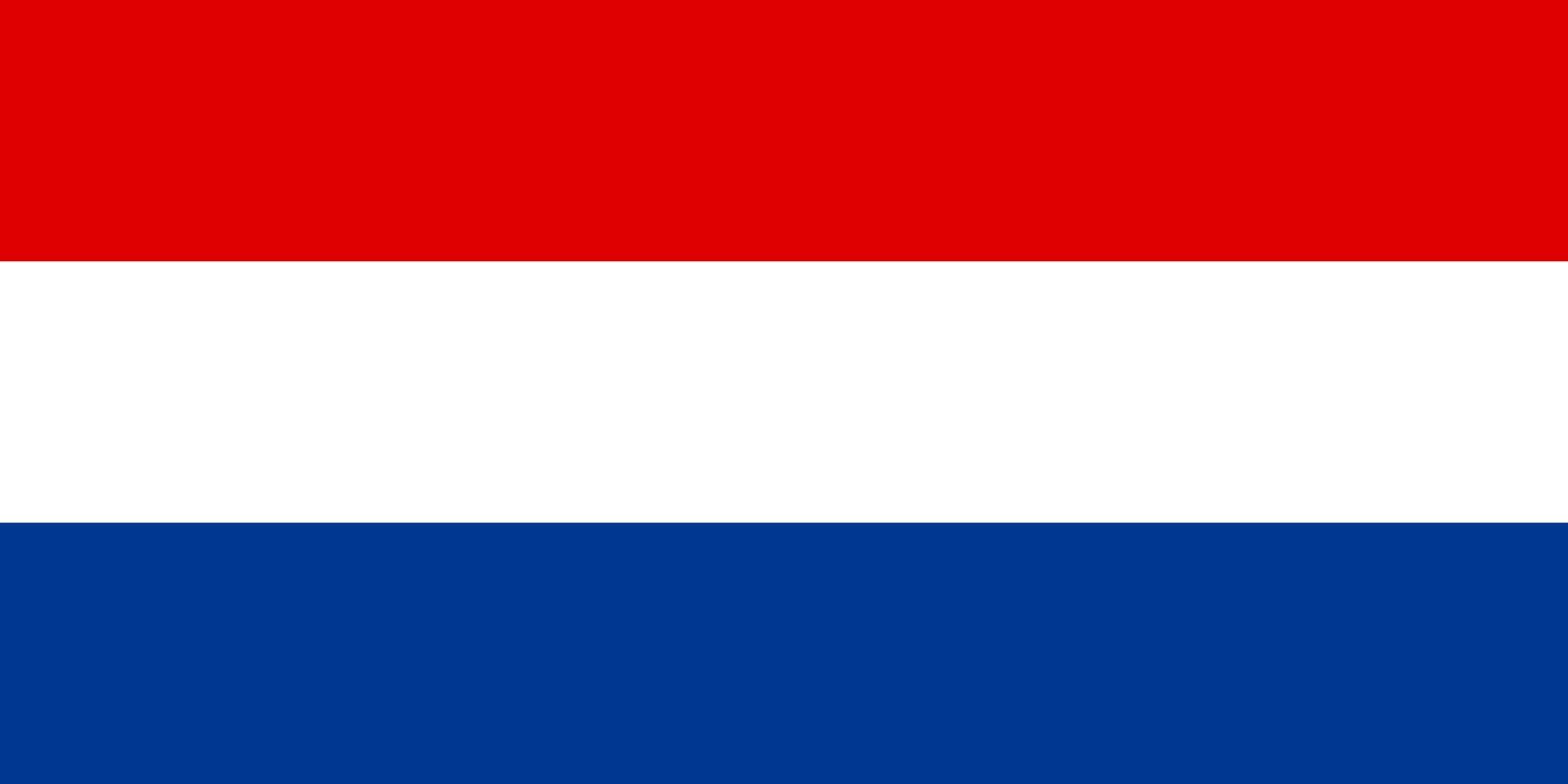 Drapeau State of Slovenes Croats and Serbs pour décorer un salon de collectionneur d'histoire