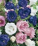 Grow Your Secret Garden