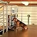 Dibea Barrera Perros Seguridad Perros protección de Escalera Cachorros Valla Cachorros Altura...