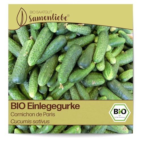 Samenliebe BIO Einlegegurken Samen alte Sorte Cornichon de Paris Snackgurke Gurke grün 10 Samen samenfestes Gemüse Saatgut für Gewächshaus Freiland und Balkon BIO Gemüsesamen