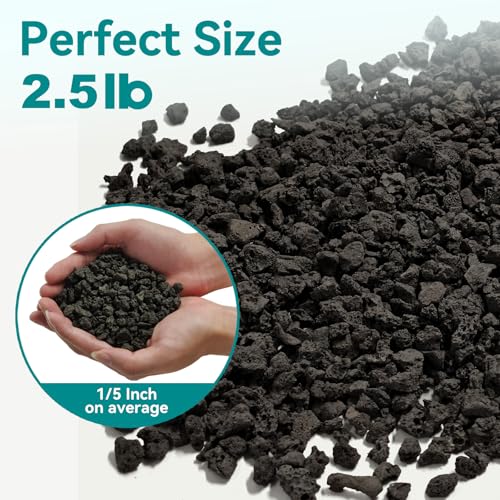 Image of 2.5lbs Small Lava Rocks for Plants Drainage, 1 /5 Inch Black Gravel Mulch for House Plants, Succulent Rocks Pebbles for Planters,Cactus, Bonsai Tree, Pure Volcanic Rocks, Top-Dressing