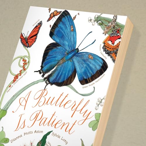 A Butterfly Is Patient: (Nature Books for Kids, Children's Books Ages 3-5, Award Winning Children's Books) (Sylvia Long) - Image 2