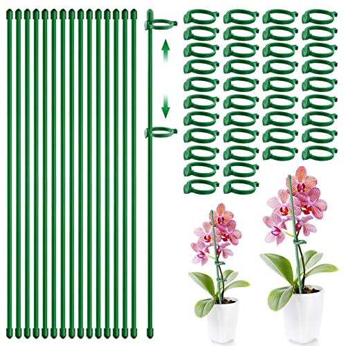 55 Pièces Tuteurs pour Plantes, Bâton de Plante Tuteur Orchidee, Tuteur Plante Bâtons Support de Plantes Piquet de Support pour Plantes, Tuteur Vert Plante pour Pois Légumes Orchidée Support