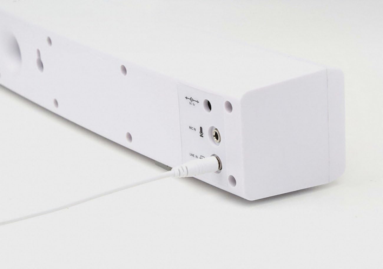 Rear panel of iRiver IR-SB200 speaker with power and line-in ports