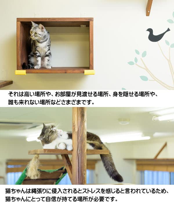 Amazon.co.jp: キャットステップ (窓用 1枚セット) 透明 猫 ペット