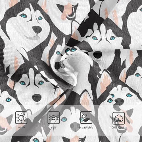 Little Boys Briefs Husky Dogs Soft Cotton Toddler Underwear in Sizes 2/3t, 4t, 5t, 6 and 83