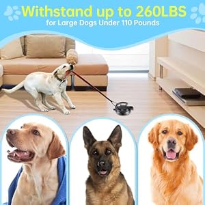 HLOGREE Heavy Duty Dog Bathing Suction Cup for Large Dog within 110LBS, Pet Dog Cat Bath Holder Suction Cup Anchor for Grooming Bathtub Restraint, for Shower, Bathing, Blowing, Trimming - NO LEASH HLOGREE Heavy Duty Dog Bathing Suction Cup for Large Dog within 110LBS, Pet Dog Cat Bath Holder Suction Cup Anchor for Grooming Bathtub Restraint, for Shower, Bathing, Blowing, Trimming – NO LEASH