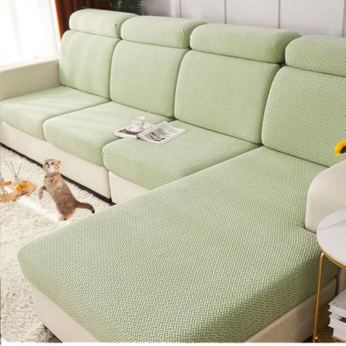 \t@[wJo[ NbVJo[ L JE`Jo[ Lkf ho kX^C   L  h~ [֗ lGʗp Mܐ ~gO[ ~fBAobNXg