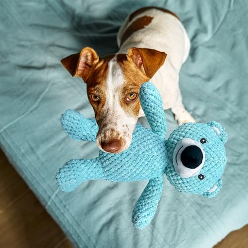 TECHEEL Hundespielzeug Quietschend Bären Hundespielzeug Unkaputtbar Anti Stress Plüsch Welpenspielzeug Hund Plüschtier Quietschspielzeug Hund Interaktives Kauspielzeug für Große Kleine und Mittel