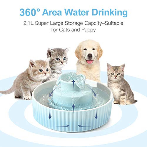 Image of 360 Ceramic Pet Fountain, Advanced Porcelain Cat Water Fountain, 70 oz.Drinking Fountains Bowl for Cat and Dogs with Replacement Filters and Foam (Green Blue)