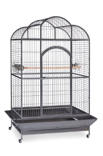 Best Bird Cages for Macaws That Are Changing the Game (Ranked by ... - Sturdy Macaw Cages For Aggressive Birds