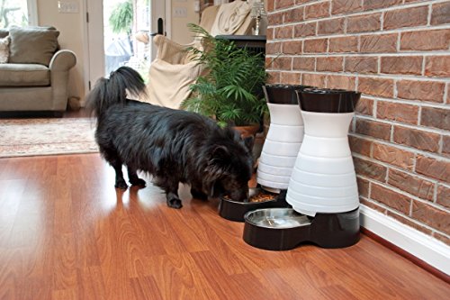 Petsafe PFD17-11856 Healthy Pet Water Station - Large, 320 Oz Capacity - Gravity Pet Water Fountain, Automatic Cat Water Fountain Or Dog Water Fountain thumb #1