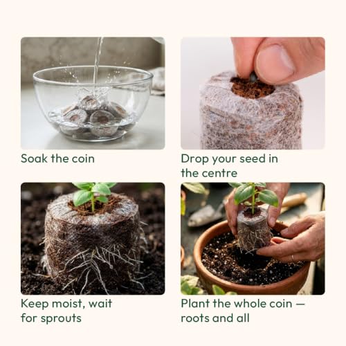 Image of UGAOO Coco Peat Coins for Seed Germination (Pack of 25) | 40mm Netted Coco Coir Pellets | Expands 6-7X | Seed Starter Plugs for Vegetables, Herbs, Flowers & Hydroponics