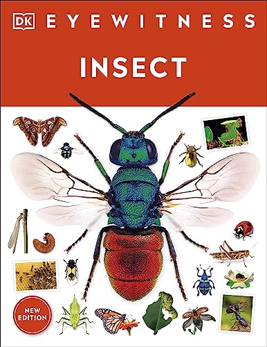 Insect (DK Eyewitness) (English Edition)