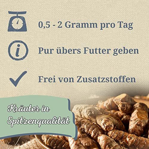 Krauterie Kurkuma Hund, Einzelfuttermittel für Hunde (100 g), Kurkuma Pulver in Spitzenqualität