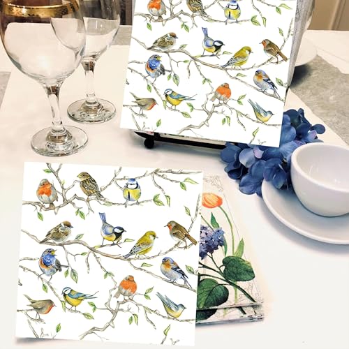 20-ct-65-Bird-Napkins-for-Decoupage-Beautiful-Napkins-Bird-Paper-Napkins-Mothers-Day-Napkins-Spring-Napkins-Paper-Decorative-Napkins-Decoupage-All-Season-Napkins-Pretty-Napkins-Fathers-napkins 20 ct 65 Bird Napkins for Decoupage Beautiful Napkins Bird Paper Napkins Mothers Day Napkins Spring Napkins Paper Decorative Napkins Decoupage All Season Napkins Pretty Napkins Fathers napkins