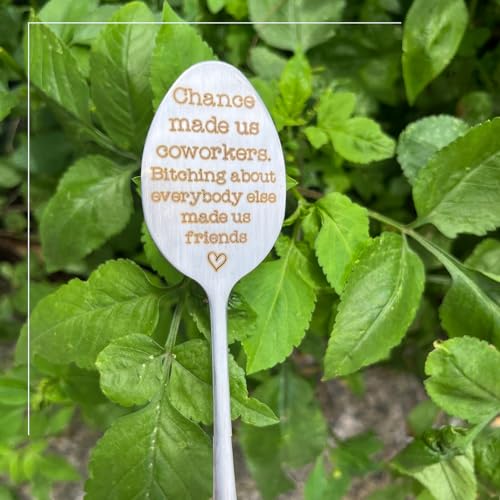 Marqueur de plantes de jardin métallique pour repère de fleurs