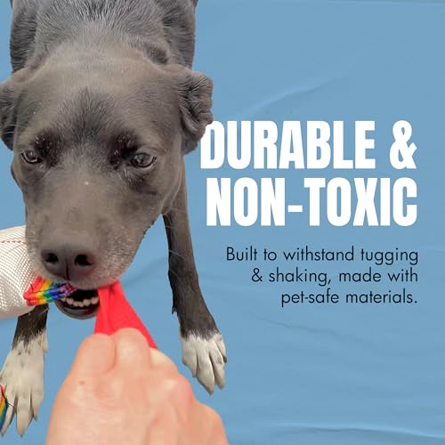 Image of Vim Interactive Tug & ShakeToy - Sensory-Motor Activating Play - 1 /2 lb (8 oz)