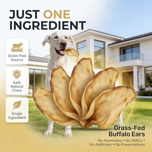 Image of Dog Treats, Rawhide Free, Dried Water Buffalo Ears, High Crude Protein Dog Food for Adult, Medium & Small Dog Sizes, Natural & Long-Lasting Dog Treat (5 Pieces)