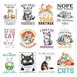 12pcs Kittens Cat Iron on Transfers Heat Transfer Decals Iron on Transfers for T Shirts Patches Sticker for Clothes Pillow Covers DIY Appliques