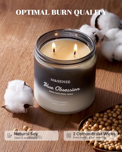 MSENSE-Citrus-Cedarwood-Scented-Candles-for-Men-116oz-2-Wick-Large-Natural-Soy-Candle-Long-Lasting-Candle-with-70-Hours-Highly-Scented-Candle-for-Men-Home-Fragrance-Valentines-Day-Gifts-for-Him MSENSE Citrus Cedarwood Scented Candles for Men 116oz 2 Wick Large Natural Soy Candle Long Lasting Candle with 70 Hours Highly Scented Candle for Men Home Fragrance Valentines Day Gifts for Him