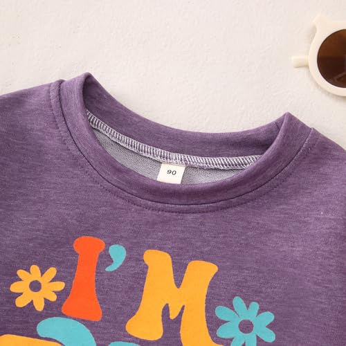 BOUTIKOME 2. Geburtstag Sweatshirt für Mädchen “I’m Two Cute” Drucker Pullover Zweiter Geburtstags Kinder Outfits Schwesterchen Rundhals Langarmshirt Herbst Winter Babykleidung(Lila,2 Jahre)