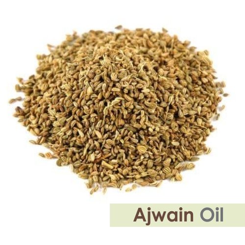Image of Salvia Ajwain Oil (Trachyspermum ammi) Essential Oil for Aromatherapy & DIY Formulations - Strong Herbal Oil for Skincare, Haircare & Massage Blends - 50 ml / 1.69 fl oz