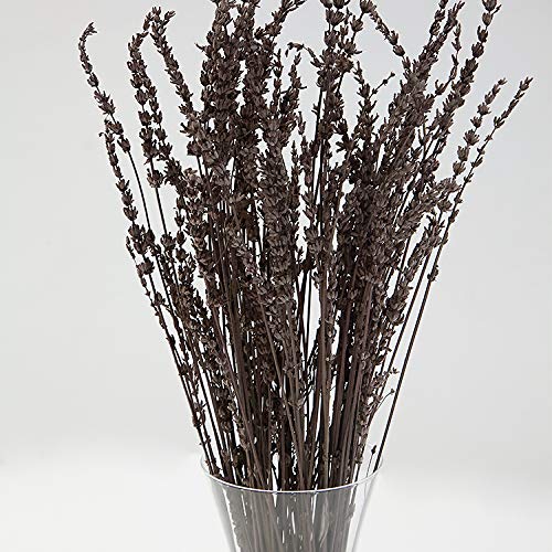 Dried Reed Bunch Dried Flower Bouquet Decorative Flower Arrangement Autumn Theme Decor (Chocolate)