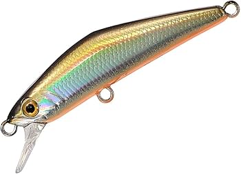 Amazon | スミス(SMITH LTD) ミノー D-コンパクト 38mm 2.5g TS