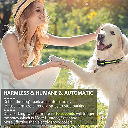 spray dog training collars