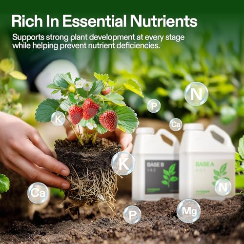 Image of VIVOSUN Liquid Nutrients Base A & B Bundle, Grow Big Hydroponic Fertilizer, Supports Vegetative and Flowering Stages for Outdoor, Indoor Plants, Best Plant Food, Set of 1 Gallon