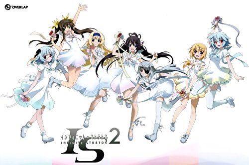 12" x 17.5" Infinite Stratos 2 IS2 Poster