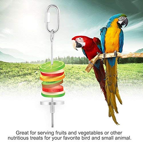 Birds Feeders Pet Supplies UEETEK Bird Treat Fruit Vegetable Holder Tool for Parrot