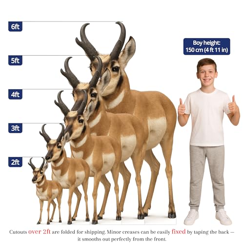 Image of Pronghorn 4FT Life Size Cardboard Cutout - A Fun Animal Standup for Photo Booths, Birthday Parties, and Events