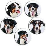 Merchandise for Fans