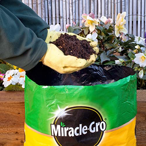20L All Purpose Compost, Peat Free, Multi Purpose Fertilisers, Gardening Soils for Outdoor and Indoor Planting, Small to Large Plants