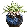GeLive Blue Owl Ceramic Succulent Planter with Drainage Hole Animal Plant Pot Tabletop Decoration Vase Window Box Indoor Outdoor Decor Blue